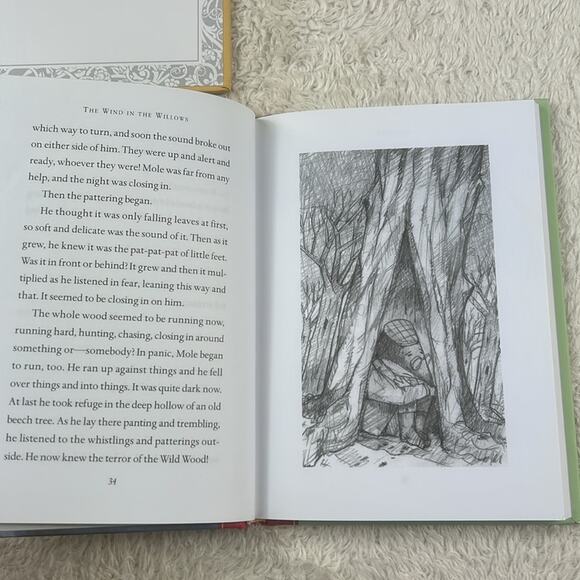 Classic Starts book lot 6 - Anne of Green Gables, Black Beauty, Pollyanna Heidi - Picture 10 of 14